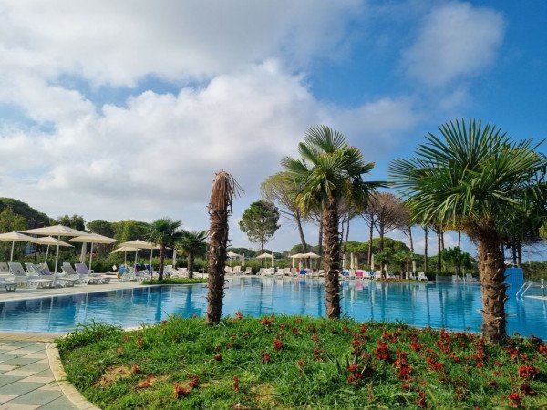 #216 Brand New Penthouse At Perla Resort