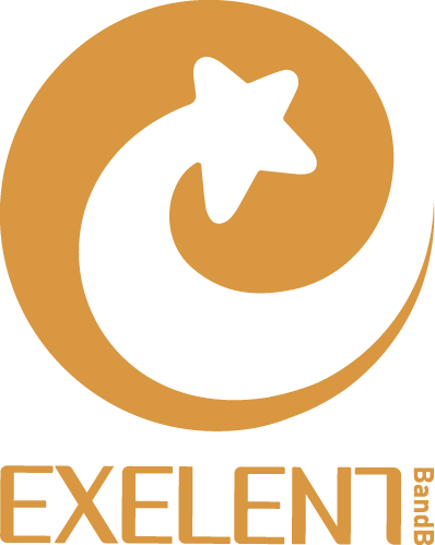 Exelent BnB - Gold Home Blloku Tirane